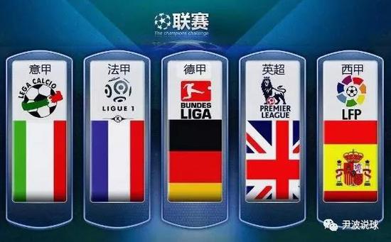 森林狼多位
